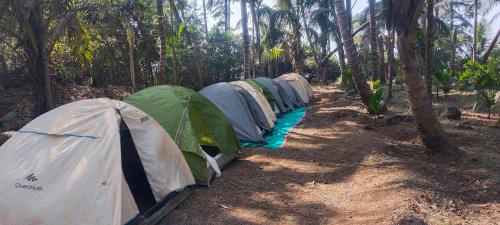 Campola camping