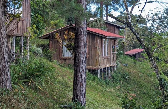 Campos de Oro Wilderness Lodge near to Monteverde Cloud Forest