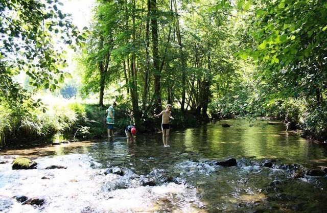 Campsite Flower L'Arize * - Chalet Bois 4 Rooms 6 People