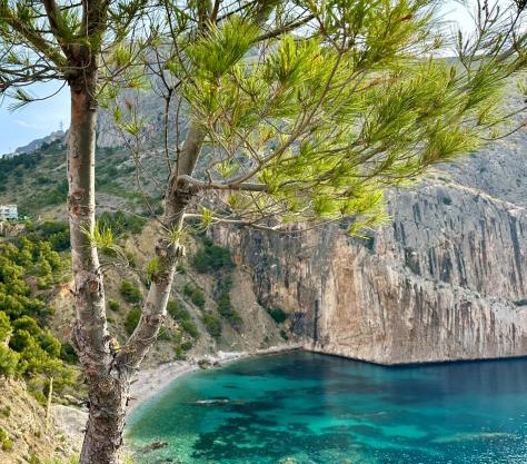 Can Luc Altea