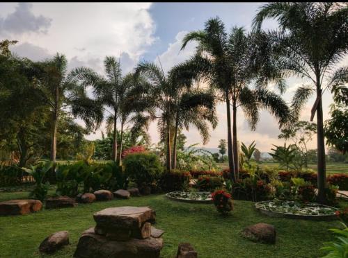 Candela Garden