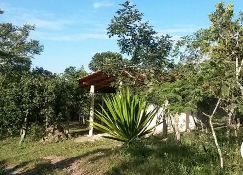 Canto Guardian - Suavidade e paz no cerrado