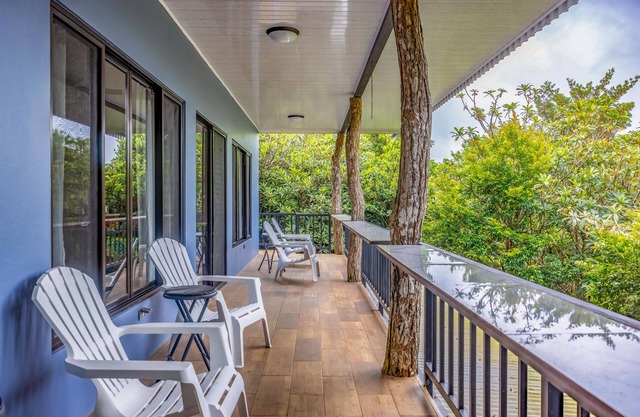 Cantos del Bosque Monteverde