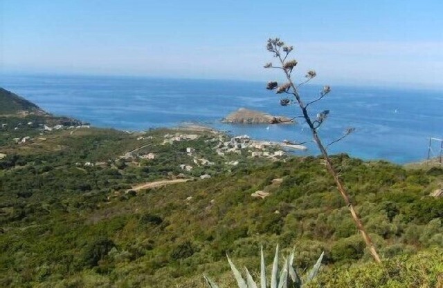 Cap Corse - centuri seaside
