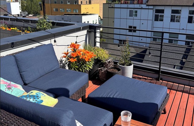 Capitol Hill convenience, rooftop Rainier views, living room w 25 ft ceilings