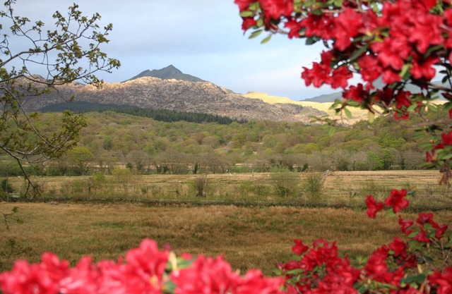 Caravan own private garden. lit car park, secluded open aspect, Mountain views.