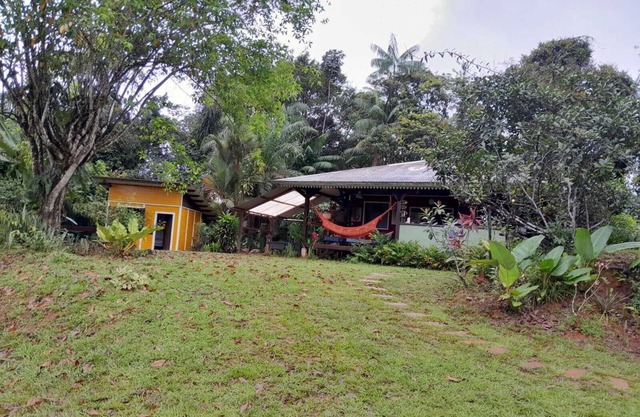 CARBETS in the Guiana forest