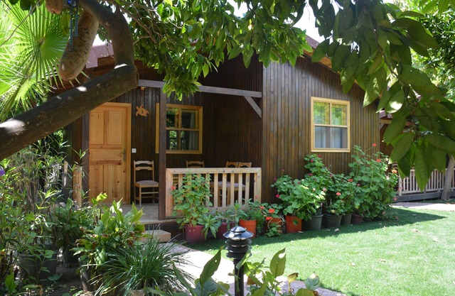Caretta Caretta Pension