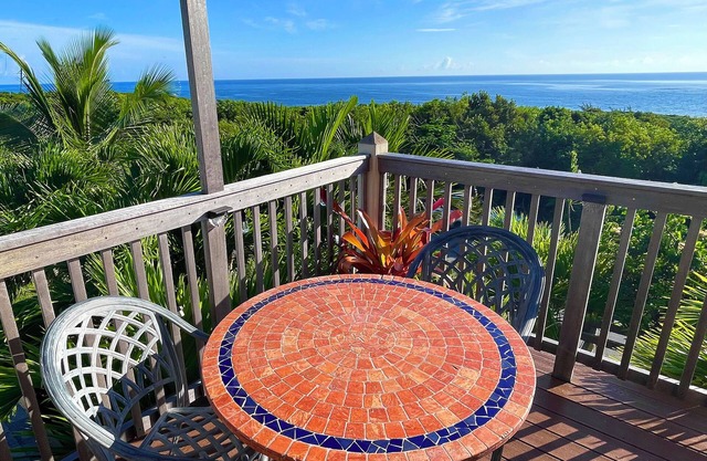Caribbean and Atlantic Ocean Views/Near Twin Cove Beach/Garden Oasis Vibe.