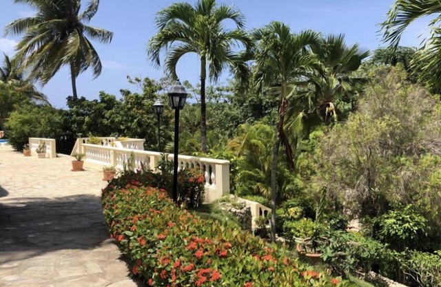 Caribe Campo