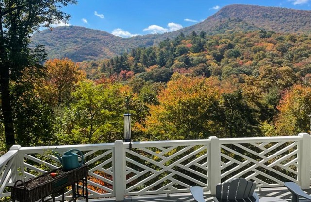 Carolina Views