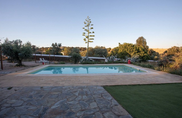 Casa AMARELA - inOrganic farm in Terena - Alentejo, Portugal