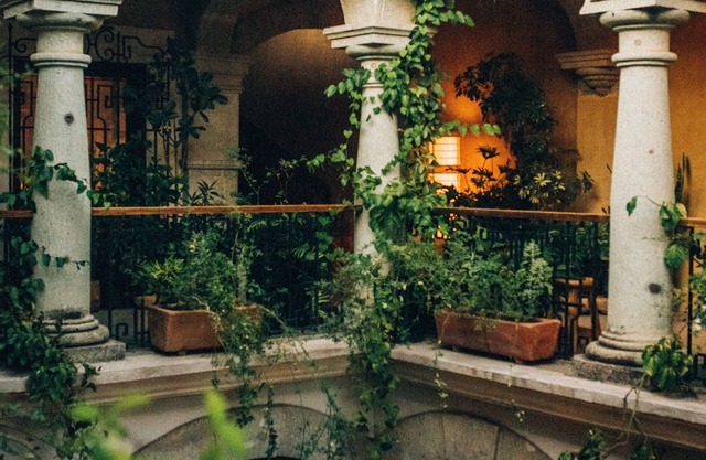 Casa Antonieta