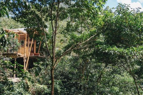 Casa Borojó, Refugio Natural Jacaranda