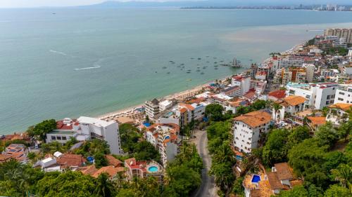 Casa Carmen Zona Romantica, 2BD, 3 bath condo