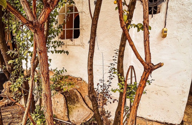 Casa Colonial Andina