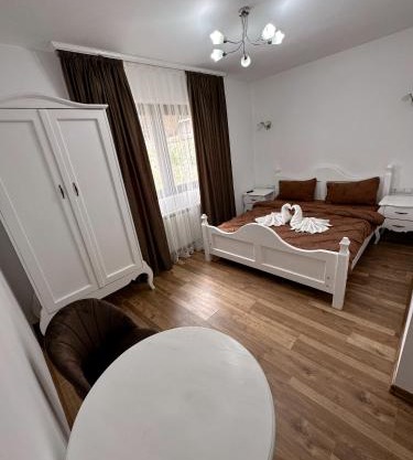 Casa Croitoru Maramureş