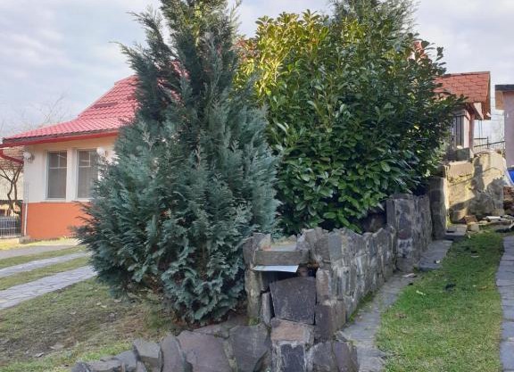 Casa cu fantana