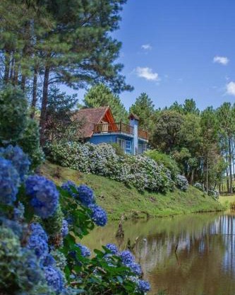 Casa de Campo - Alameda dos Pinus
