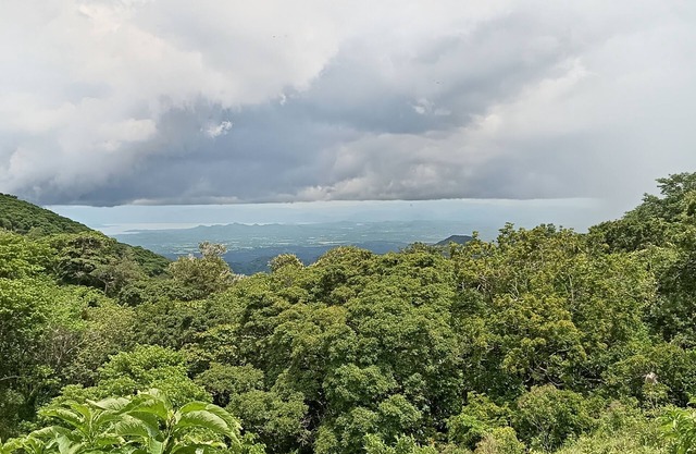 Casa de Campo.excelente Visita a Golfo Nicoya, Apta Para Familias, Zonas Verdes