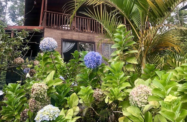 Casa de Nubes (The Cloud House)