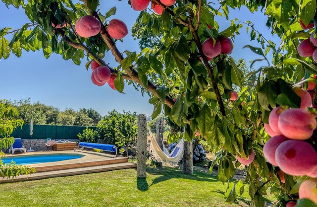 Casa de Perre – Rustic house with pool and orchard