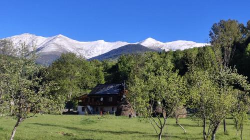 Casa de vacanță Mira