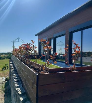 Casa Deluxe in Sinteu - intersectia intre modern si linistea naturii