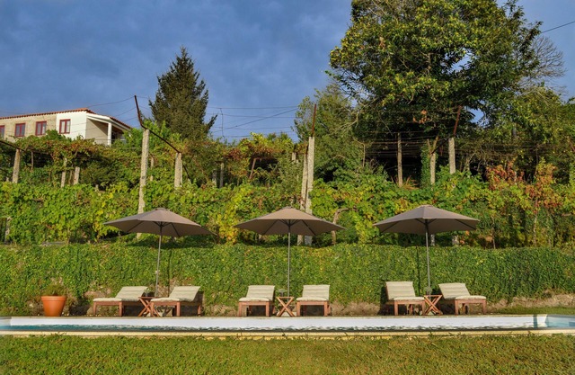 Casa do Lameiro - Country House