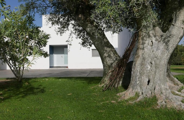Casa do Vale da Terra Negra