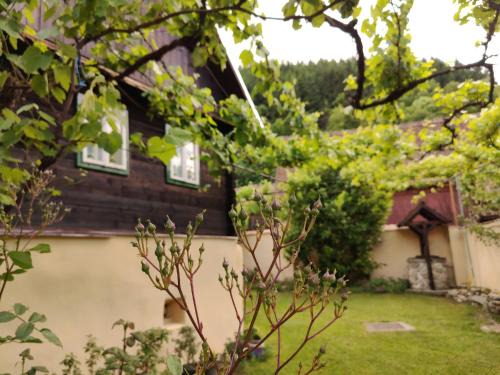 Casa Florica wooden house