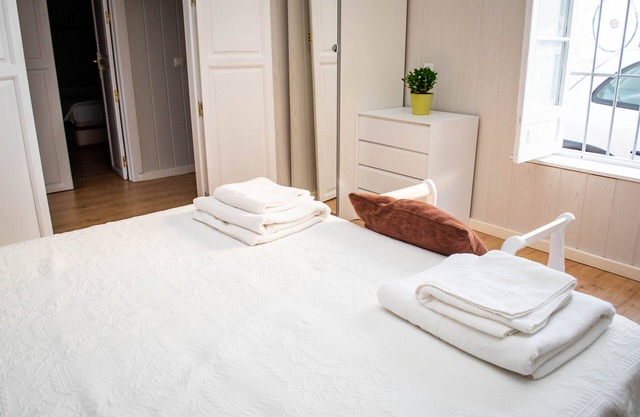 Casa Juan Breva with "Andalusian patio" in the city. Big house for families.