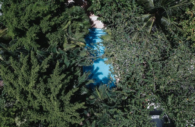 Casa La Sultana Holbox: Amazing House With Pool