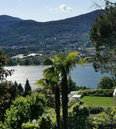 Casa le palme -Montagnola