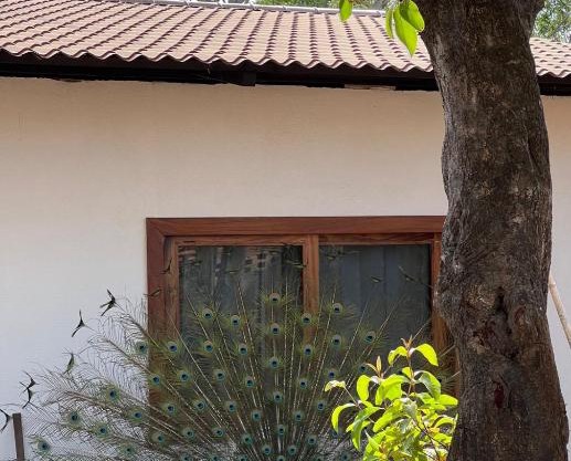 Casa Magdalena