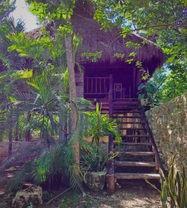 Casa Mango