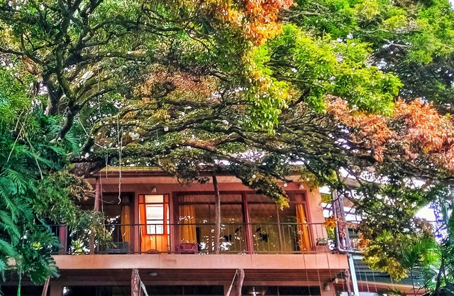 Casa Mariposa Cottage Located a Coffee Farm