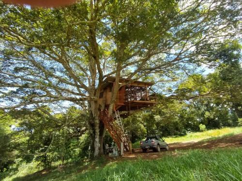 Casa na Árvore sítio Iananda