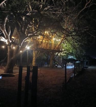 Casa na arvore Dream tree house