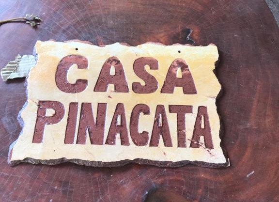 Casa Pinacata