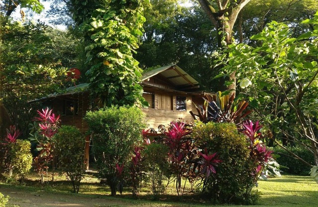 Casa Pitayha · For Nature Lovers and Surfers · Walking distance to Beach & Town
