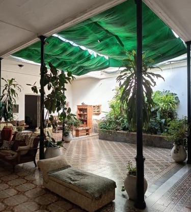 Casa Rosa 8