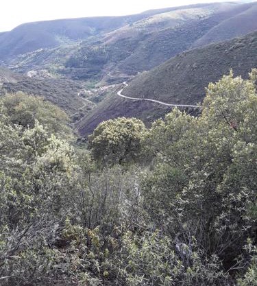 Casa Rural Costanilla