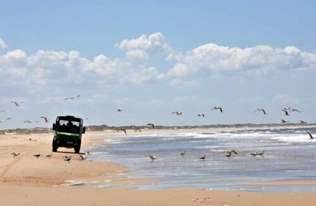 Casa Rural Doñana 51