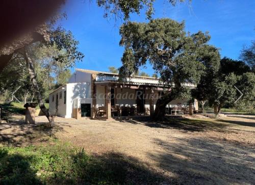 Casa Rural Los Murtales