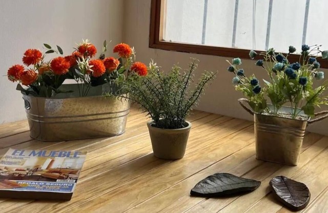 Casa Stella Centro Histórico Apt B