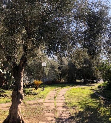 Casa Vacanza L'ulivo
