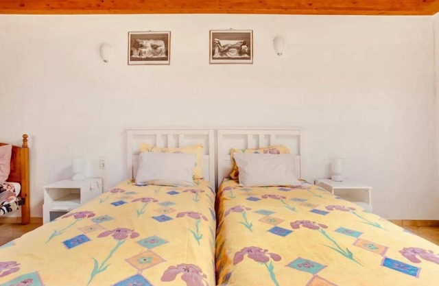 CASA VERDE Apartment 5 View of the garden and the Risco de Famara.