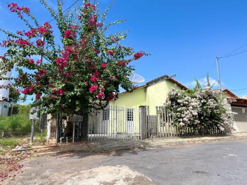 Casa verde temporada