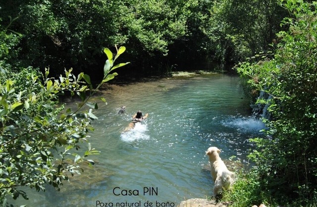 Casas Pin for 12 people